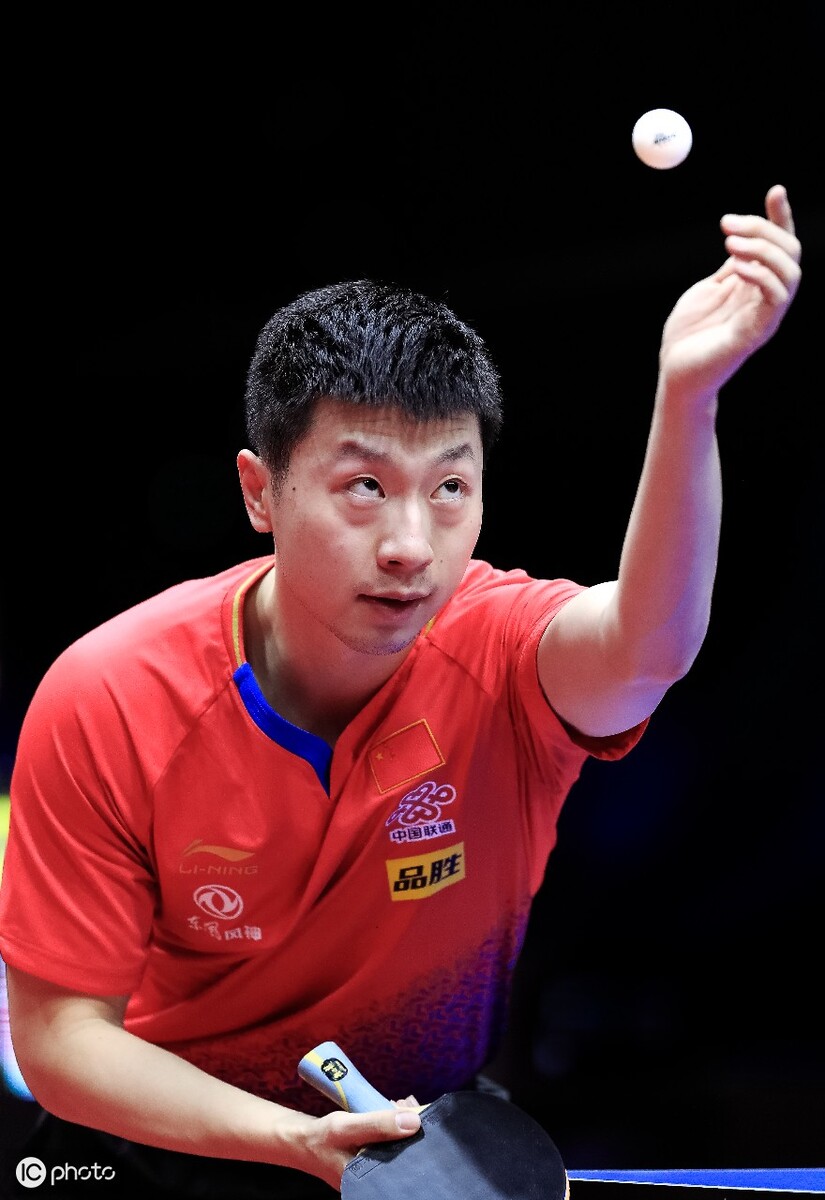 主场看台的 主场看台的